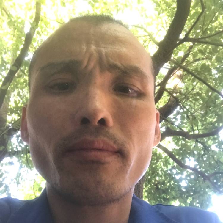 醉熏打招牌的照片