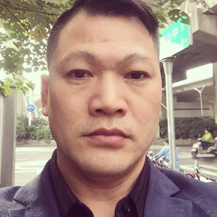 刺猬怕黑的照片