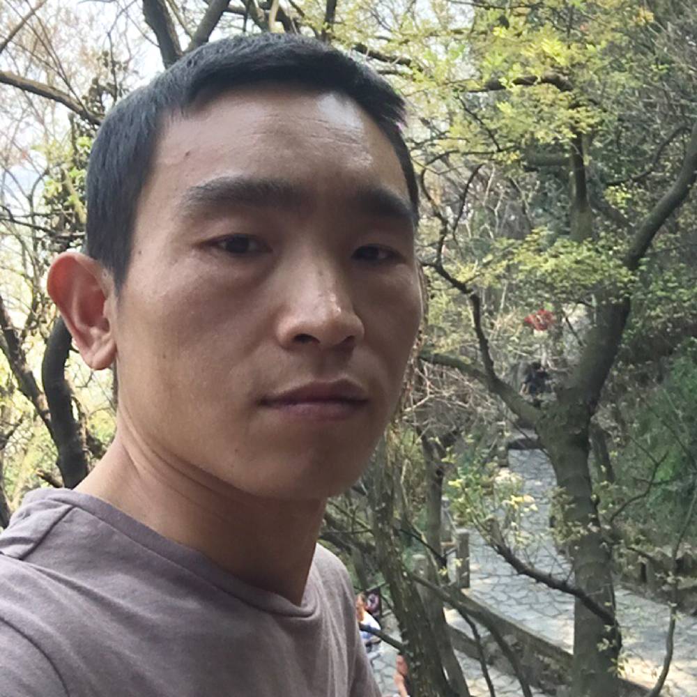 长颈鹿安静的照片