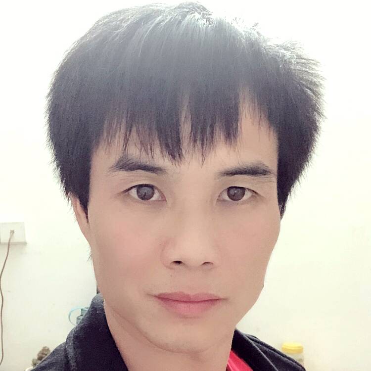 叶未飘落的照片