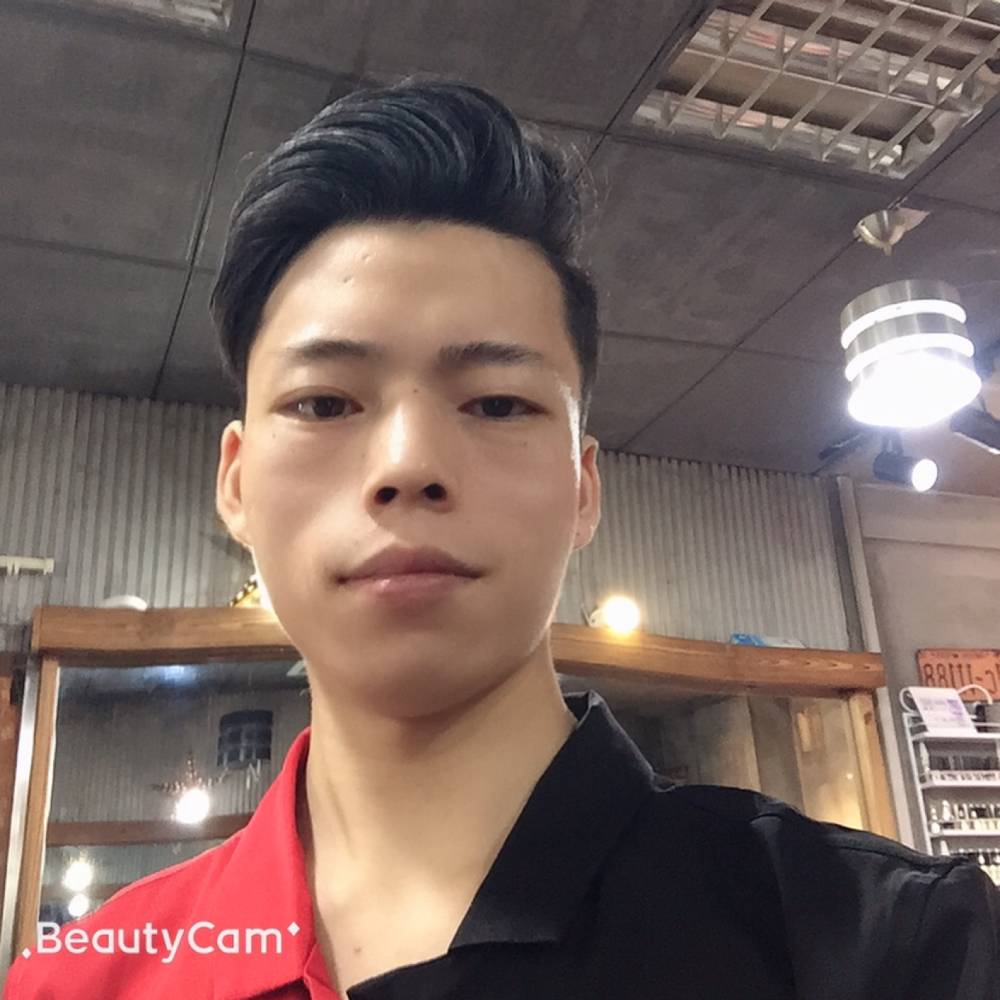 小猫咪浅吻美好的照片