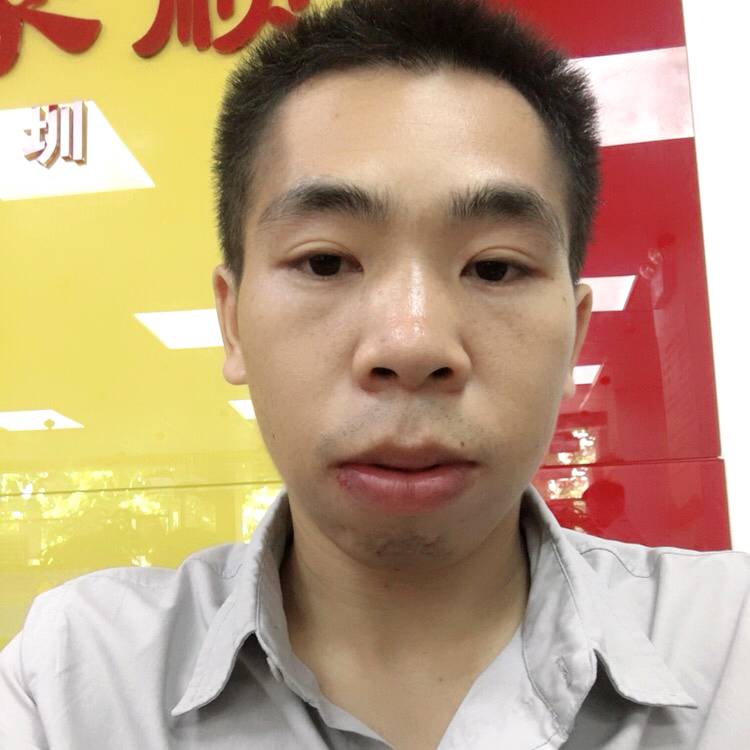懦弱和紫菜的照片