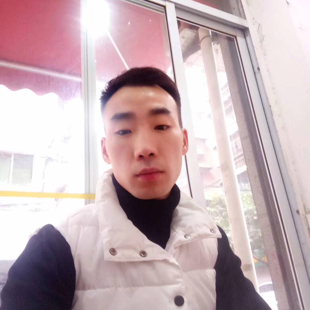 重要爱黄蜂的照片