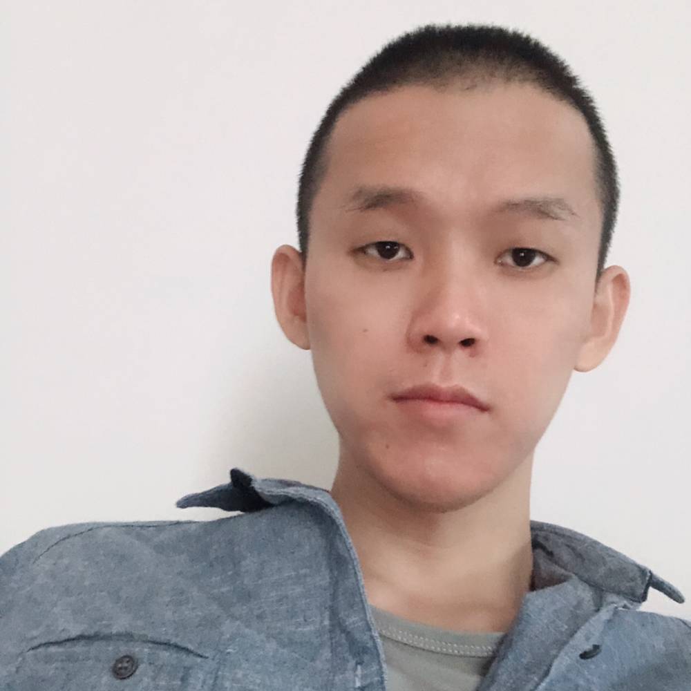 长腿猫的照片