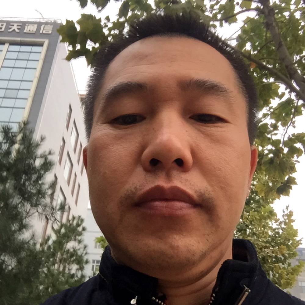 心灵美凝眸飞鸟的照片