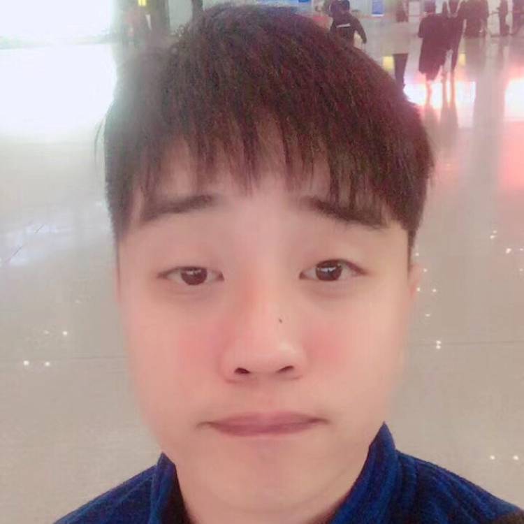 飞机懵懂的照片