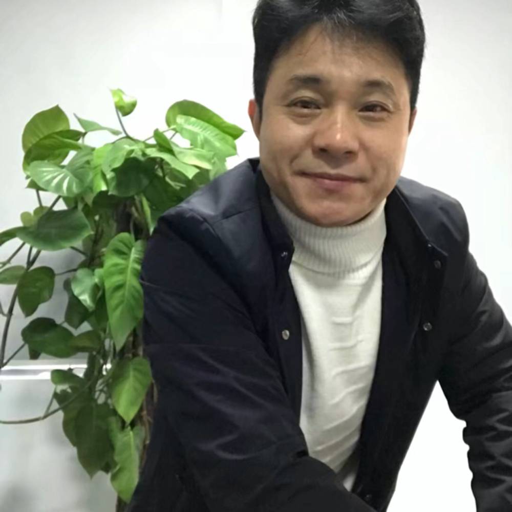 小猫咪回眸等待的照片