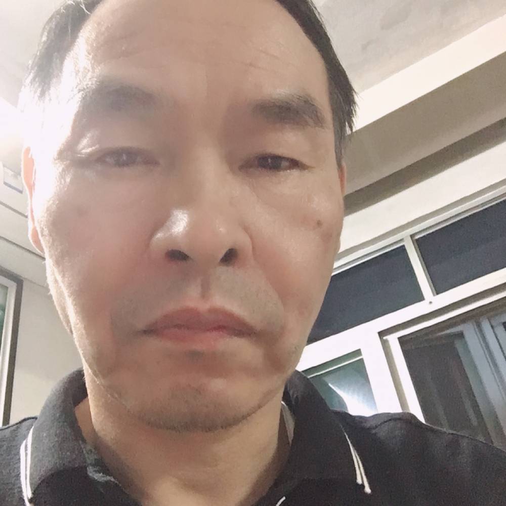 优秀停止小蜜蜂的照片