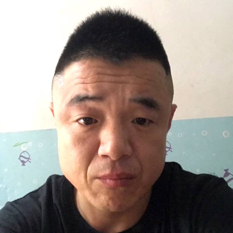 勤劳的宝马的照片