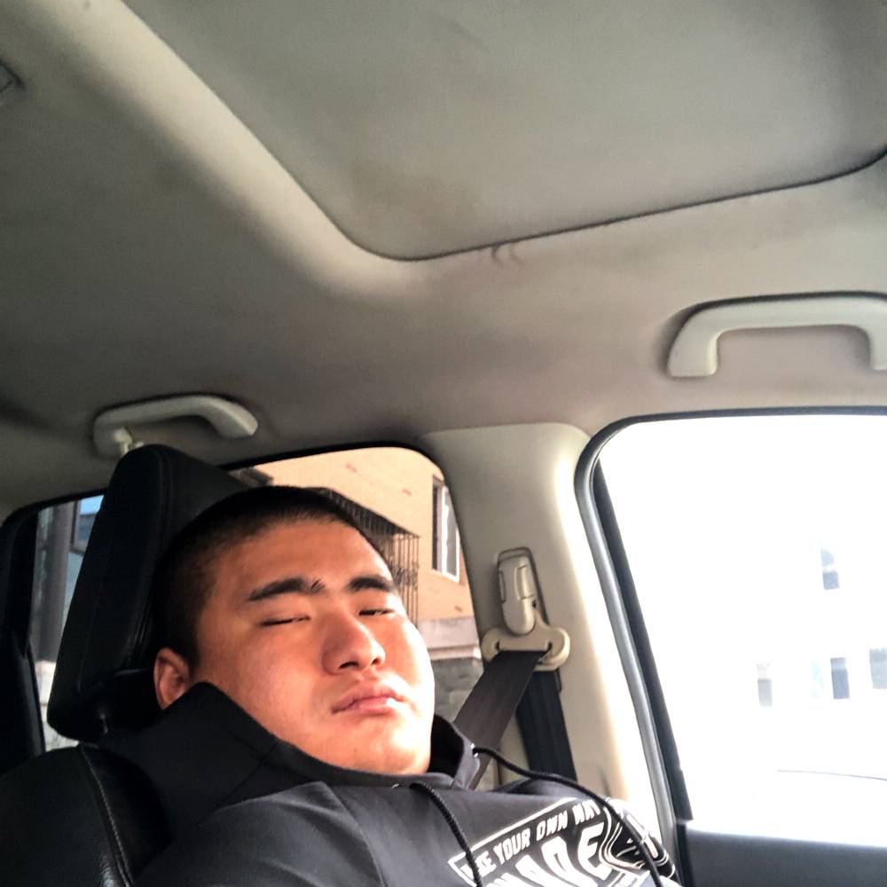 高高那鸭子的照片