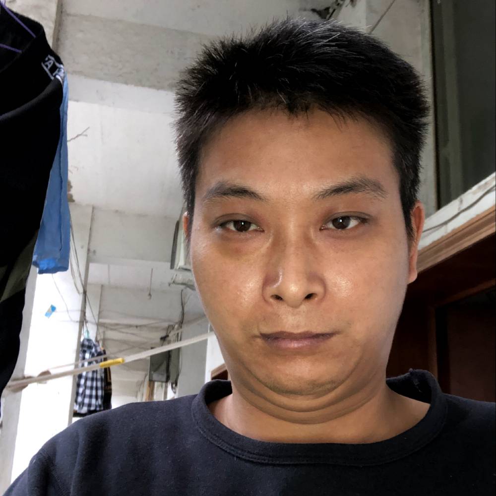花卷漫步典雅的照片