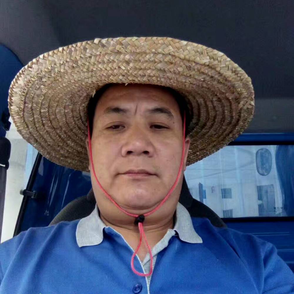 回头想想又何必的照片