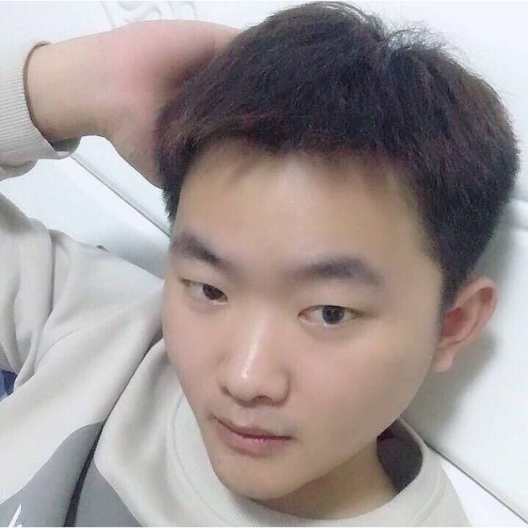 大龙abc的照片
