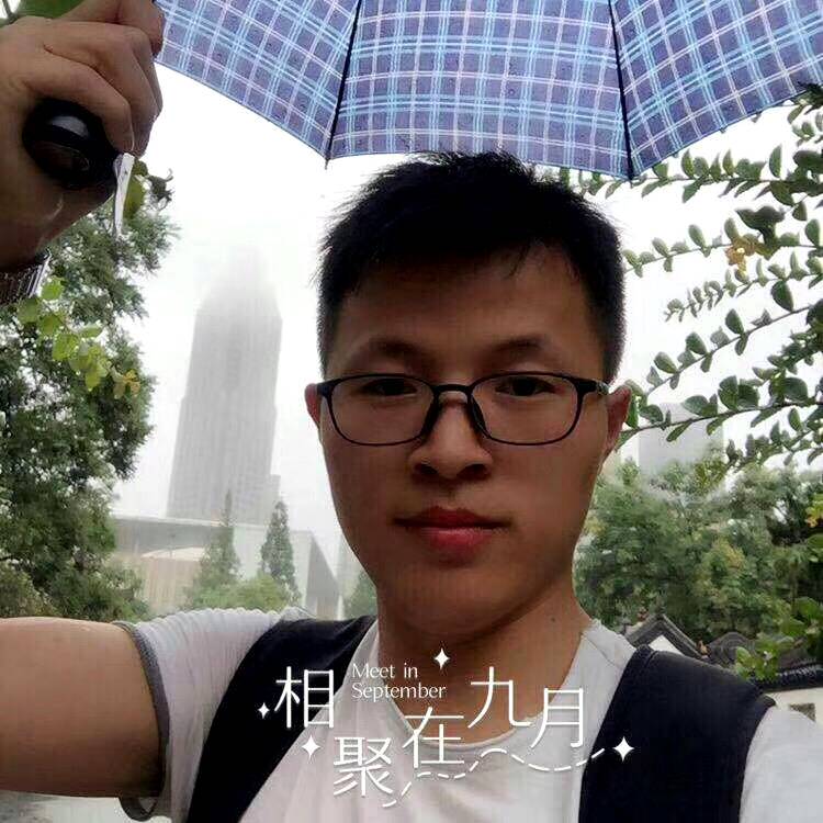 风中的一匹狼的照片