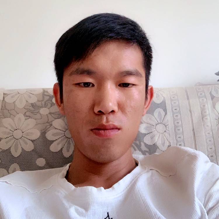 小海豚等于烂漫的照片