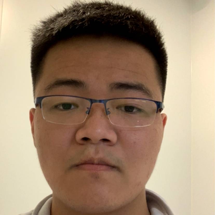 缓慢等于大象的照片