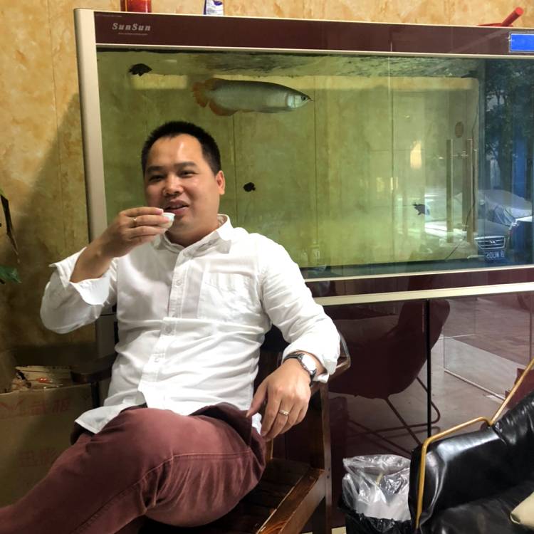 战斗机无心的照片