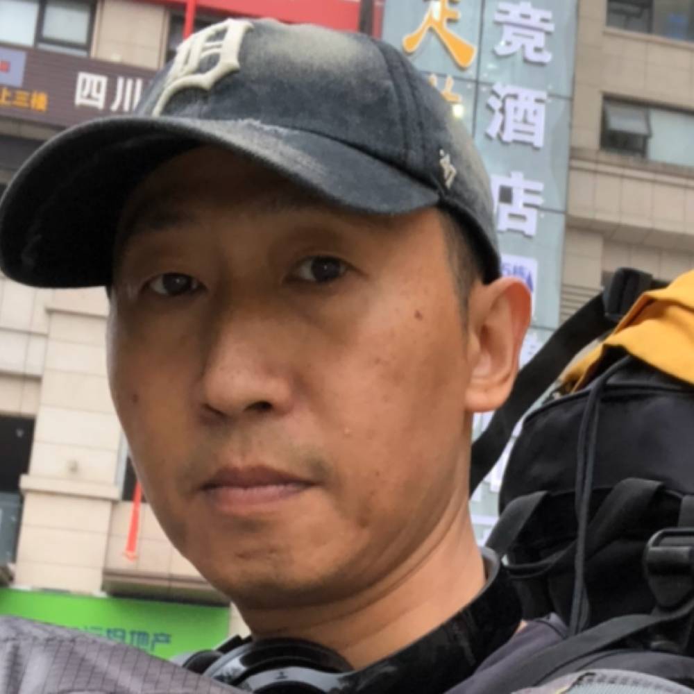 泰迪是只猫的照片