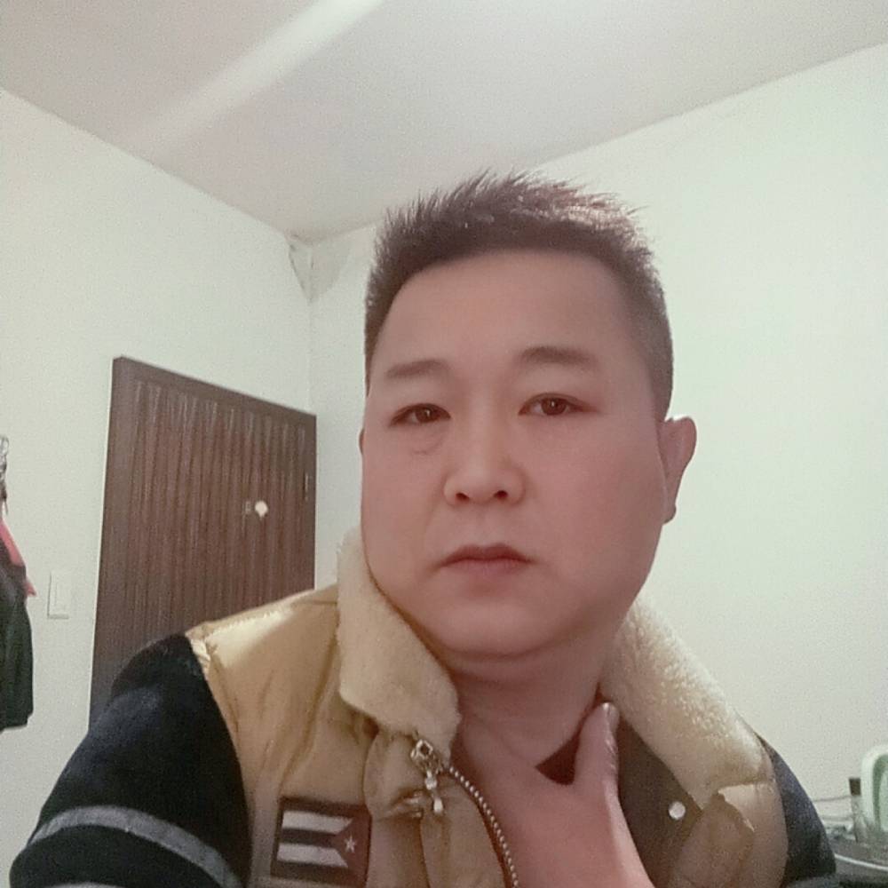 理想的飞鹰的照片