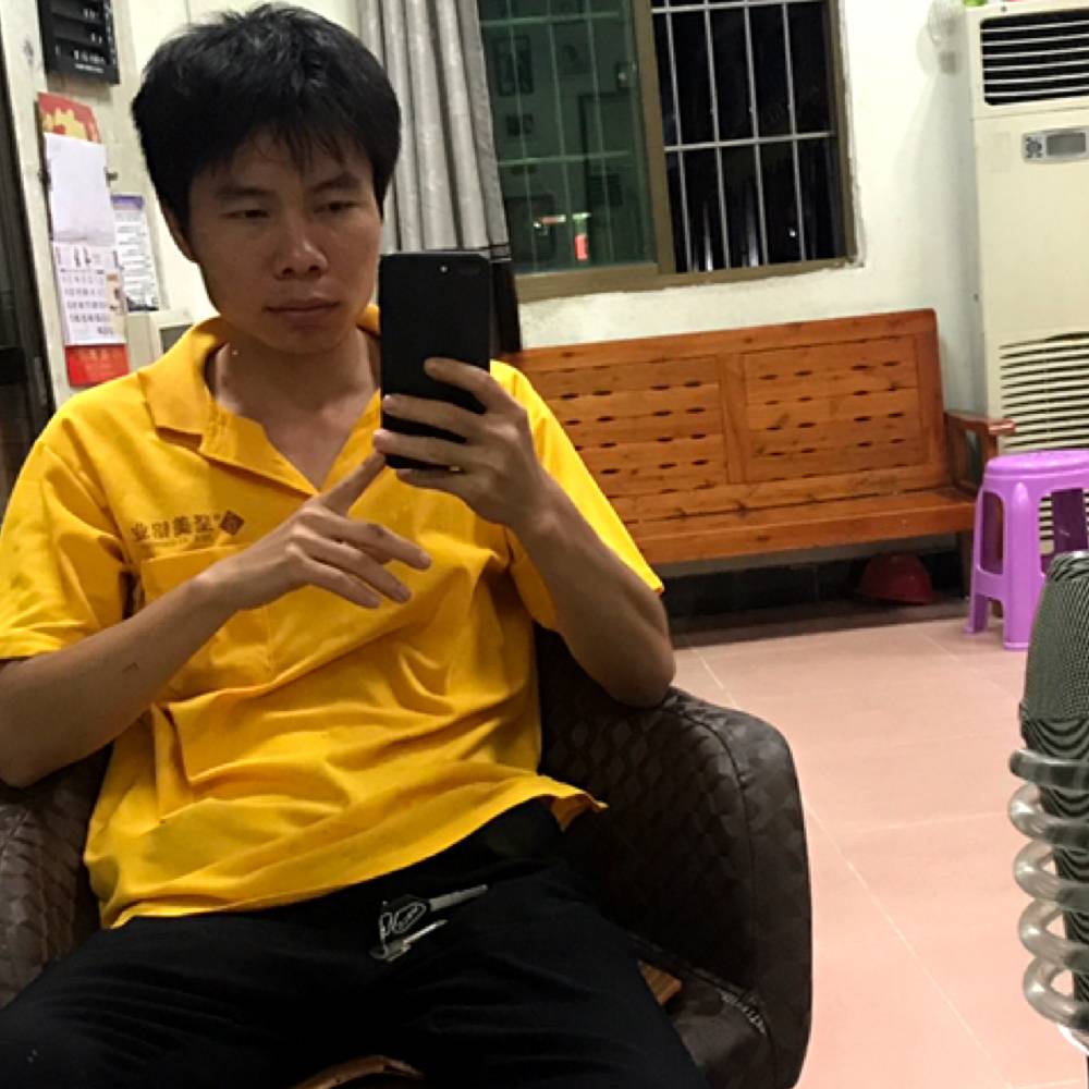 小刺猬放弃缓慢的照片