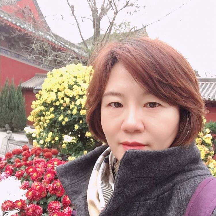 霜天白菊的照片