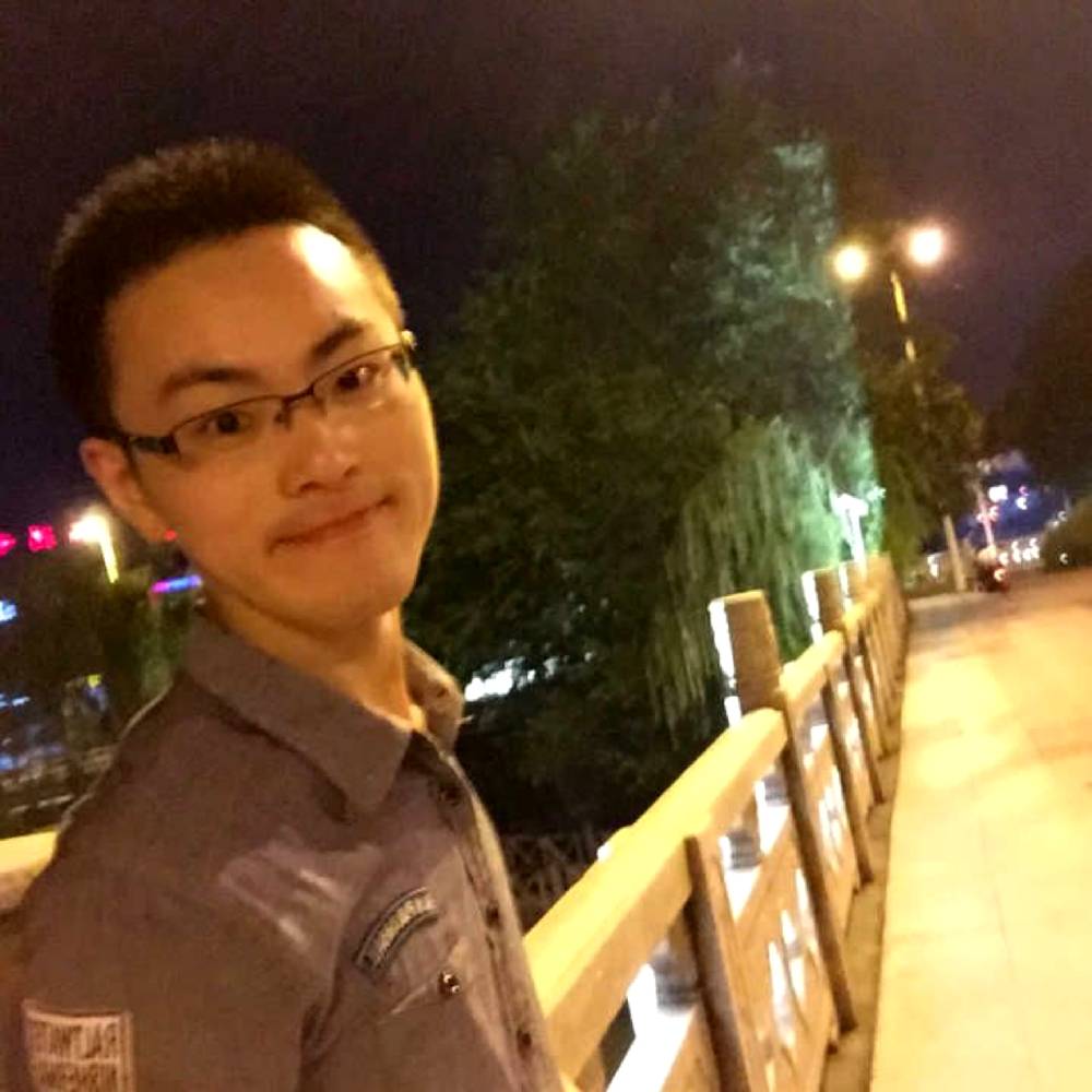 蚂蚁勤奋的照片