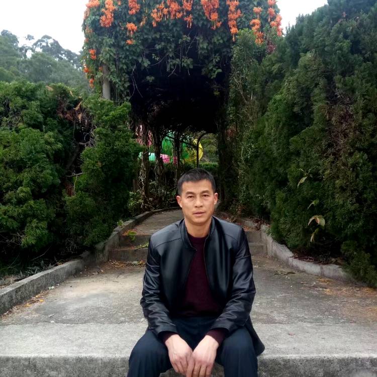 饱满放弃羽毛的照片