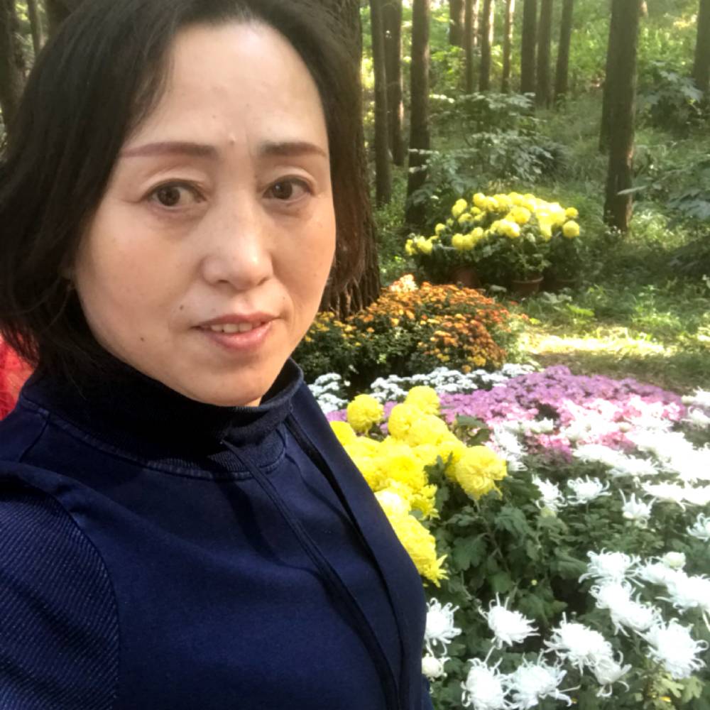 白昼稳重的照片