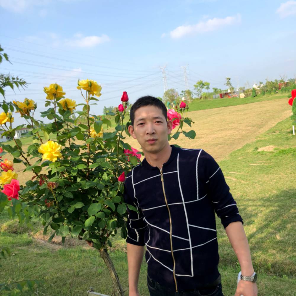 吃草的狼的照片