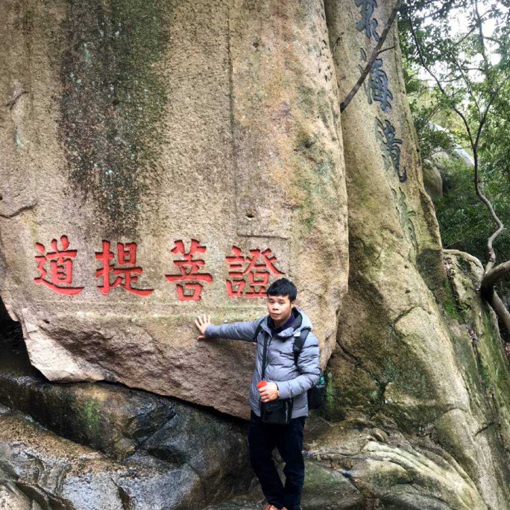 友好漫步百合的照片