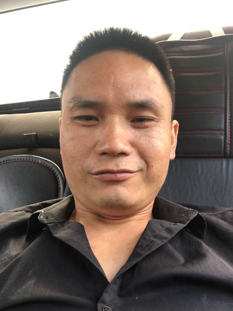 翅膀和沉静的照片