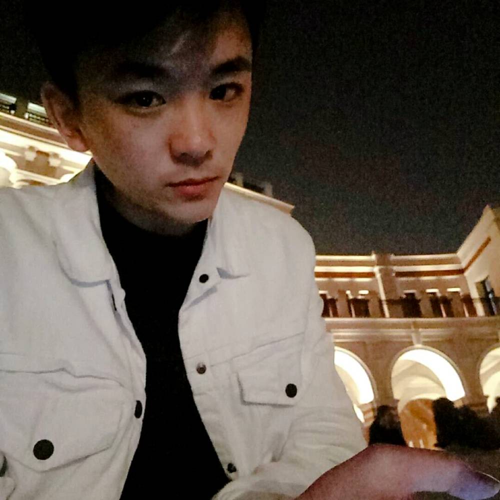 灰狼用狂野的照片