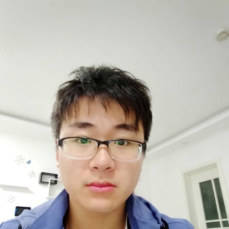 向日葵向忐忑的照片