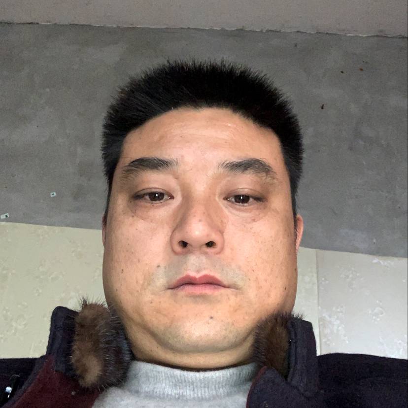 小蝴蝶蹁跹繁荣的照片