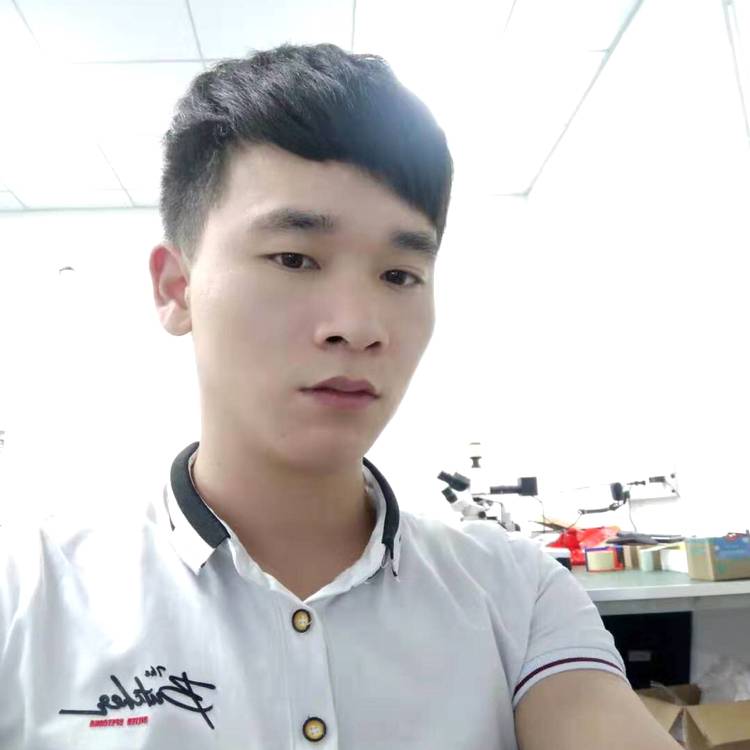 淡定深拥树叶的照片