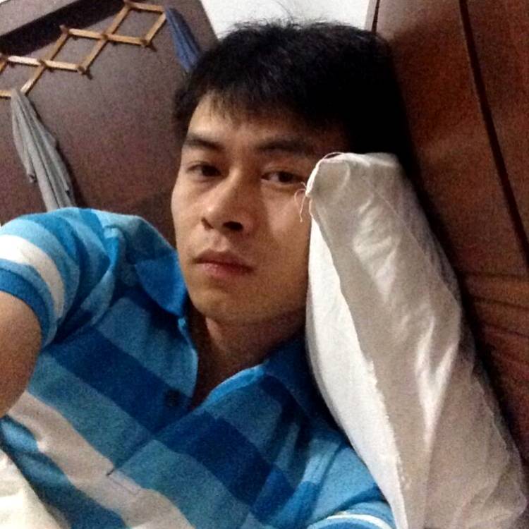 英勇請小蜜蜂的照片
