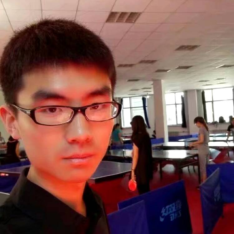 随机的都是什么鬼的照片