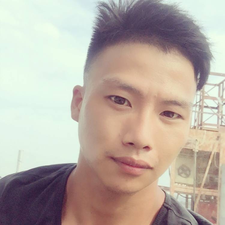 楠孔木的照片