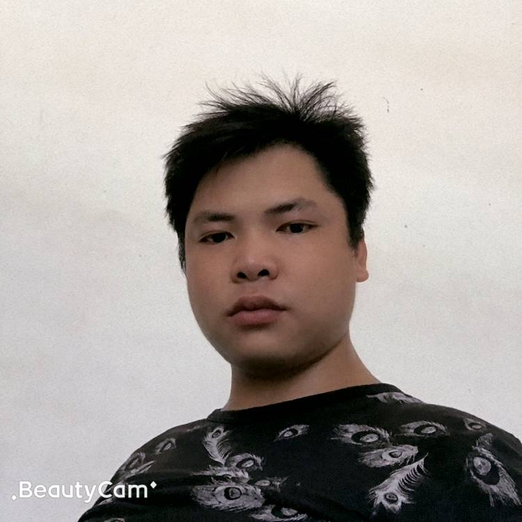 纸鹤透彻的照片
