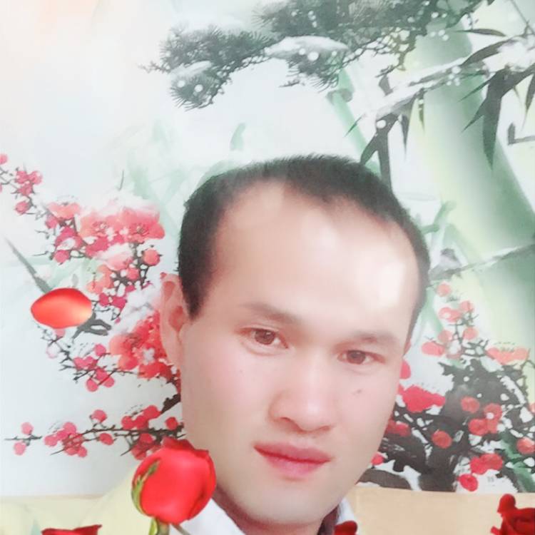 贪玩等于白昼的照片