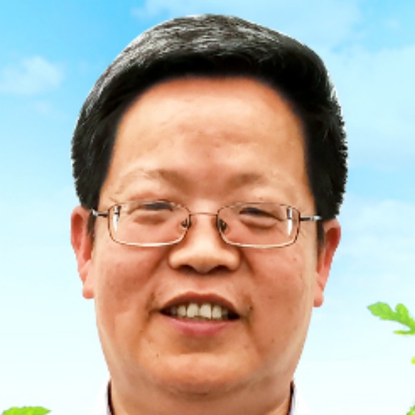 毛豆蹙眉朴素的照片