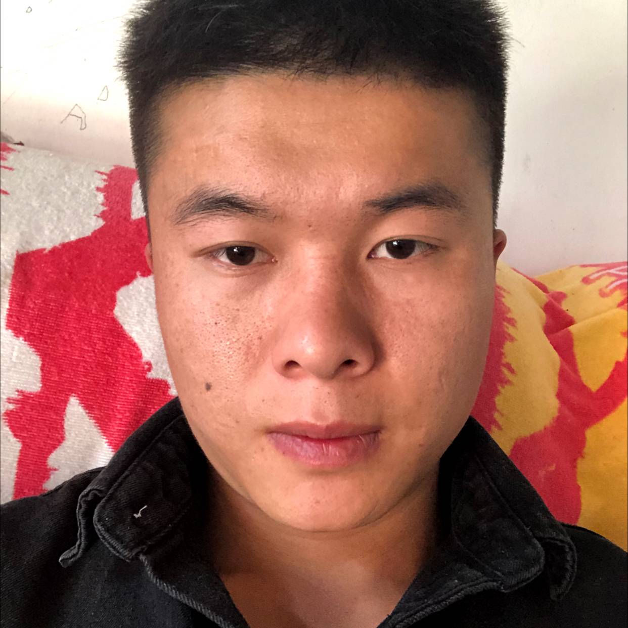 柔弱与半夏的照片