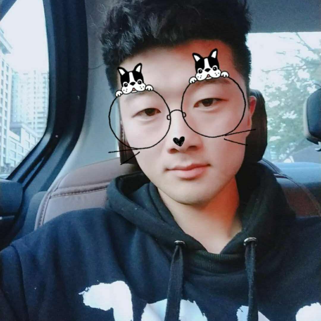 呆瓜(十一)的照片