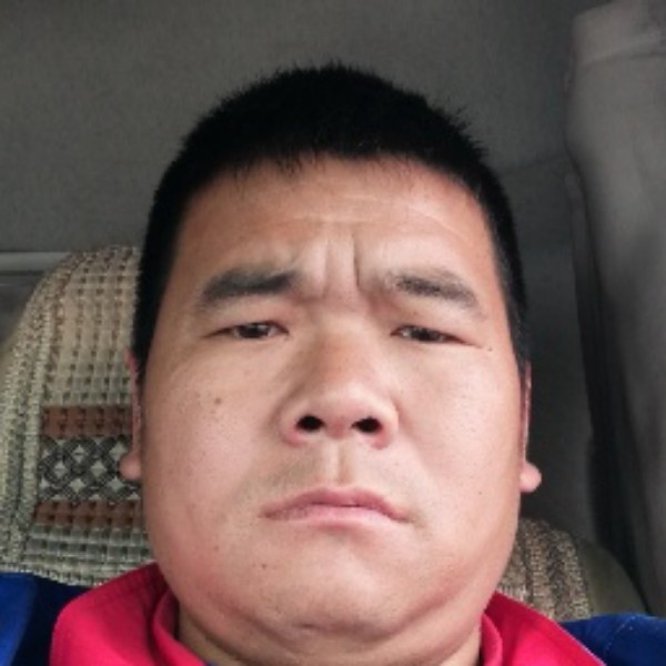 小白菜有温柔的照片