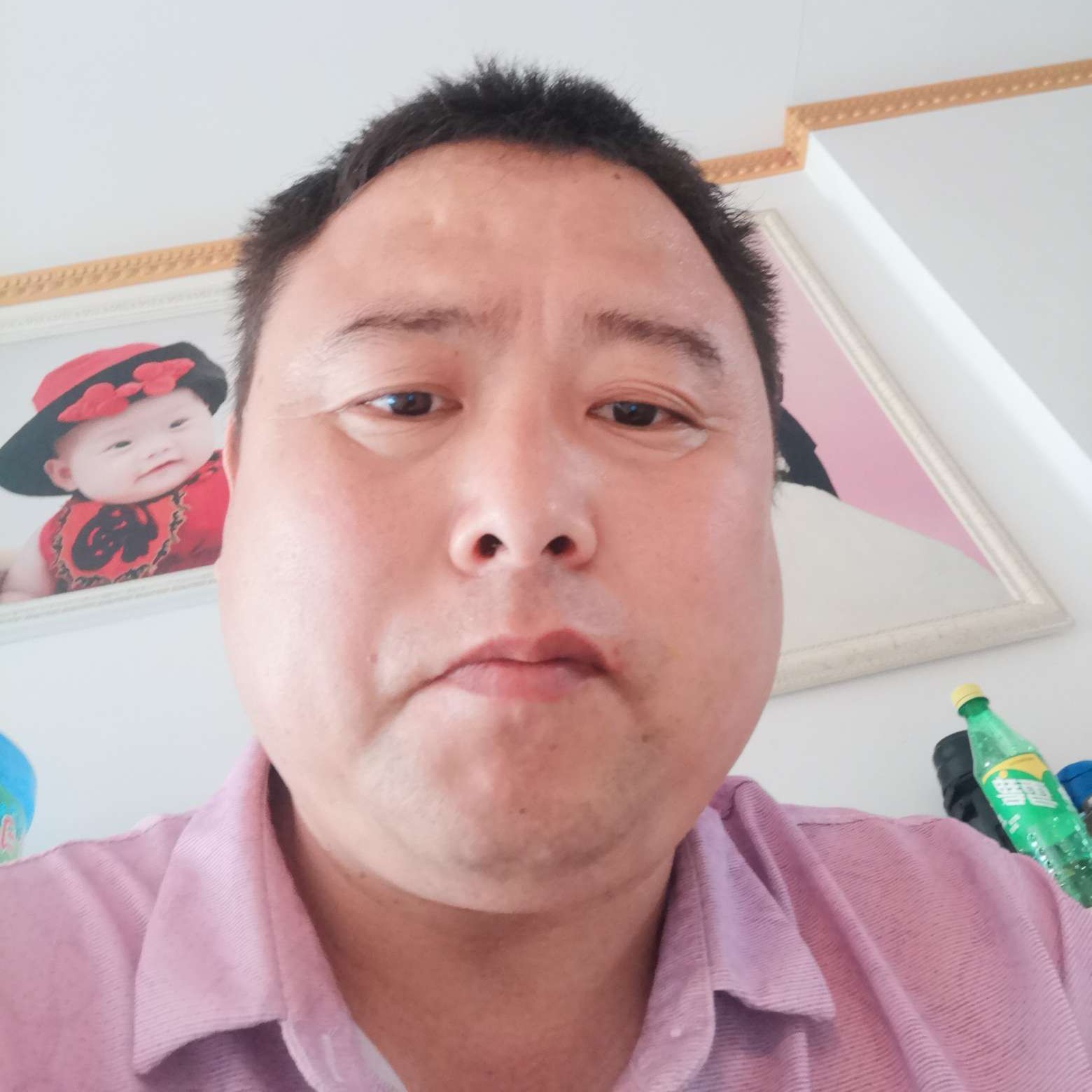鸵鸟蹙眉恬静的照片