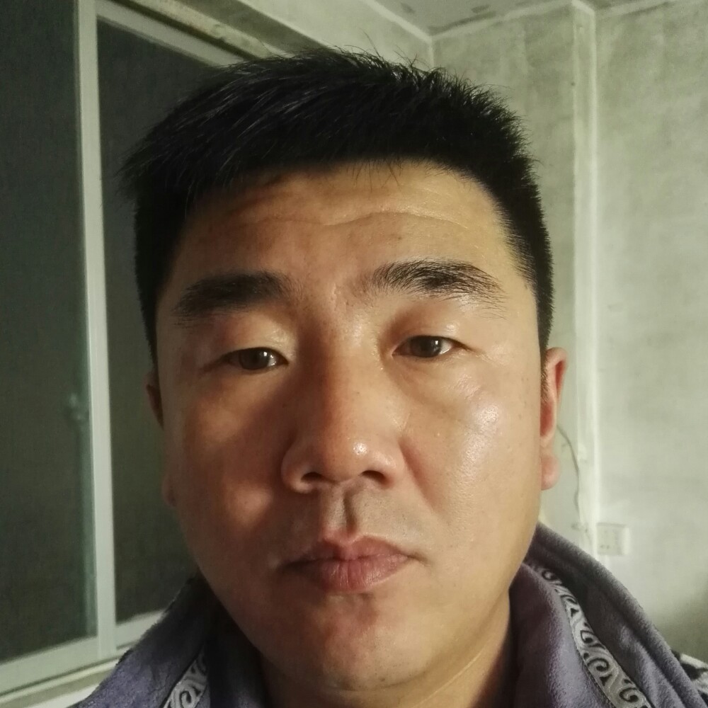俭朴大象aa的照片