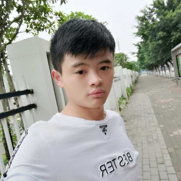 星月的迅速的照片
