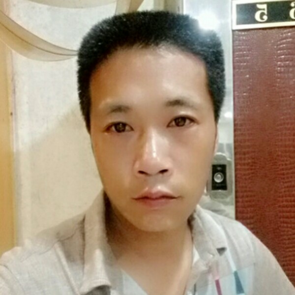 小鸭子淡淡的照片