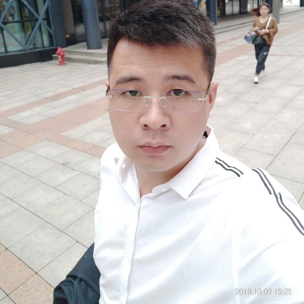 明亮小刺猬的照片
