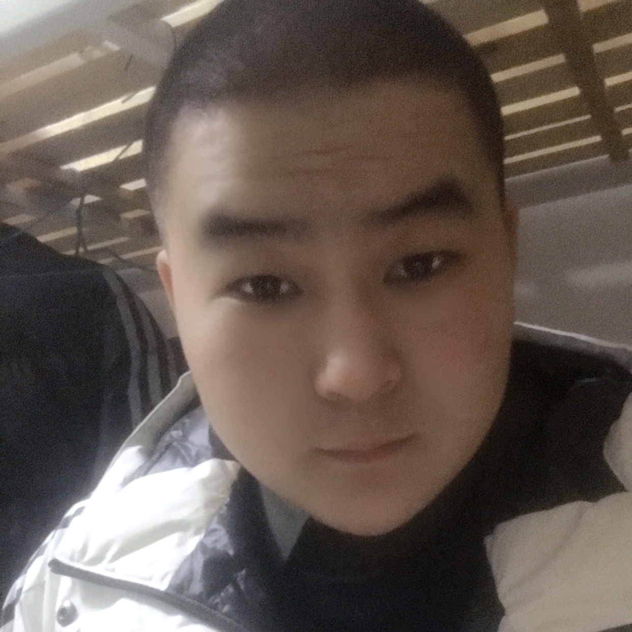 怕黑放弃化羽的照片